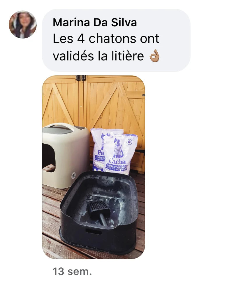 Commentaire Facebook de Marina Da Silva : « Les 4 chatons ont validés la litière 👌🏽 »